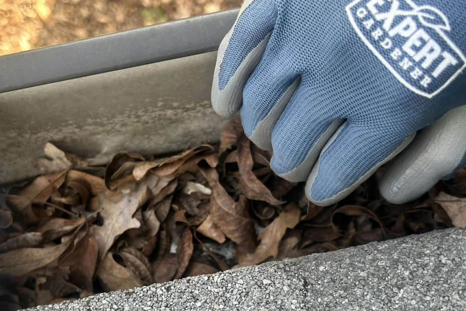 Scituate Gutter Cleaning