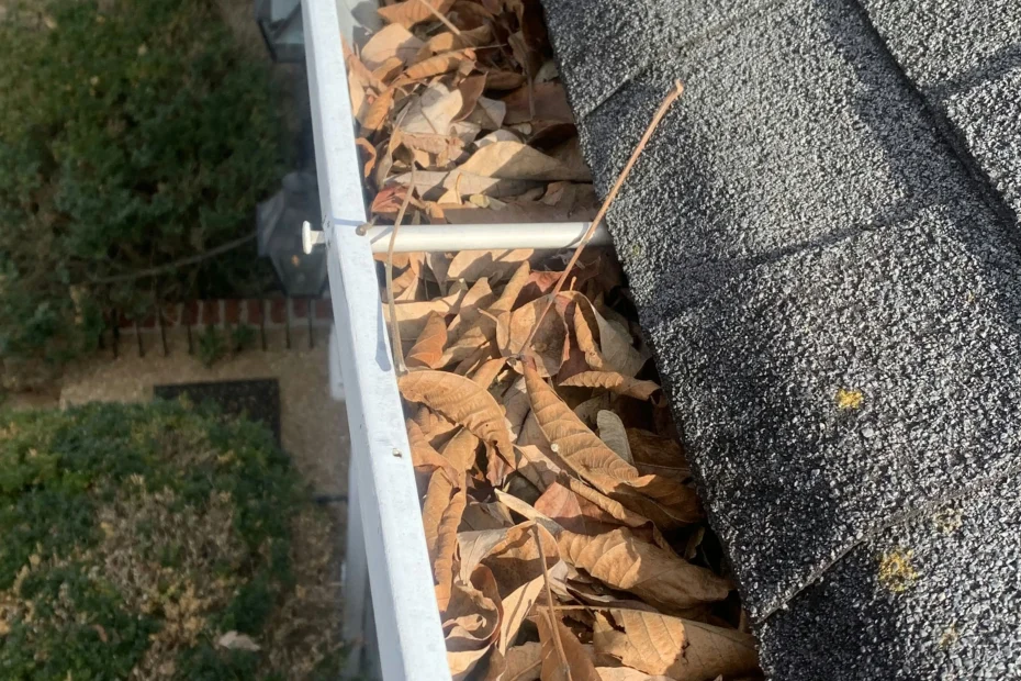 Scituate Gutter Cleaning
